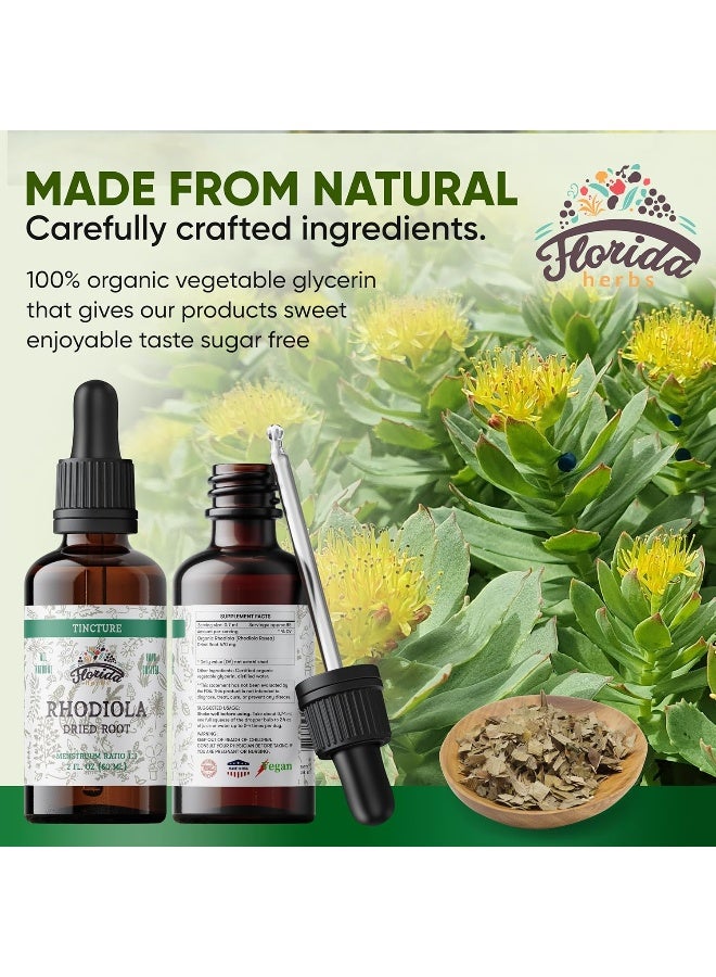 FLORIDA HERBS Rhodiola Tincture, Organic Rhodiola Extract (Rhodiola Rosea) Dried Root Health Supplement, Non-GMO in Cold-Pressed Organic Vegetable Glycerin 2 oz, 670 mg - Image 2